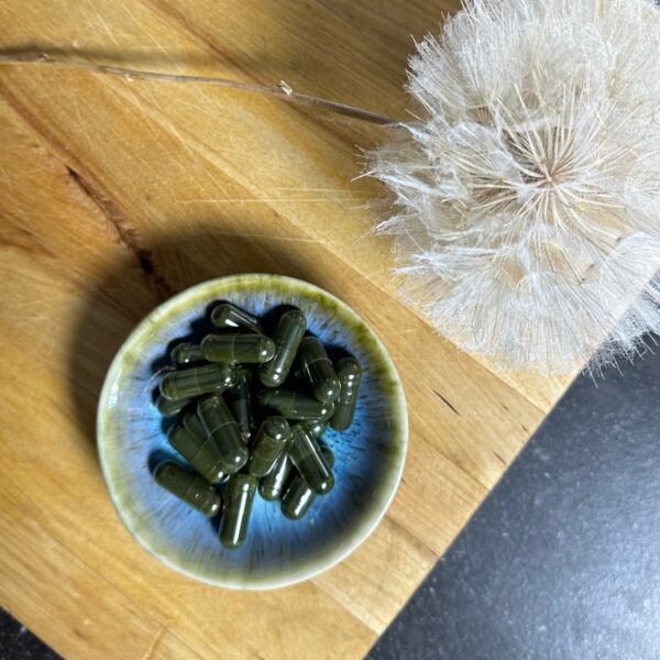 Dandelion and green capsules on wood